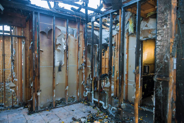 Professional Fire Damage Removal technician working in Bellevue, KY