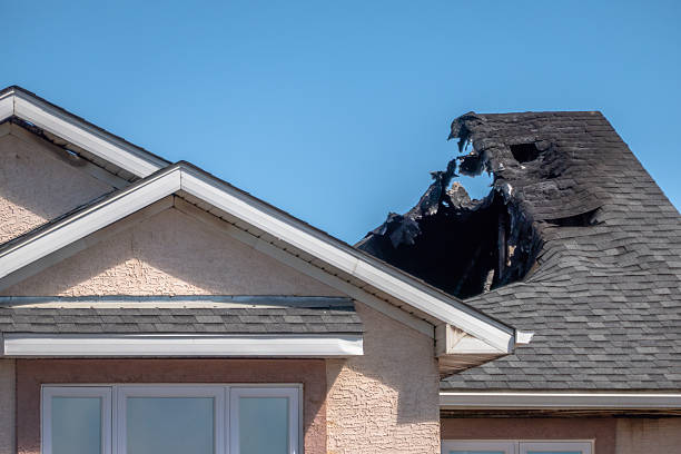 Top rated local Fire Damage Removal specialists in Bellevue, KY